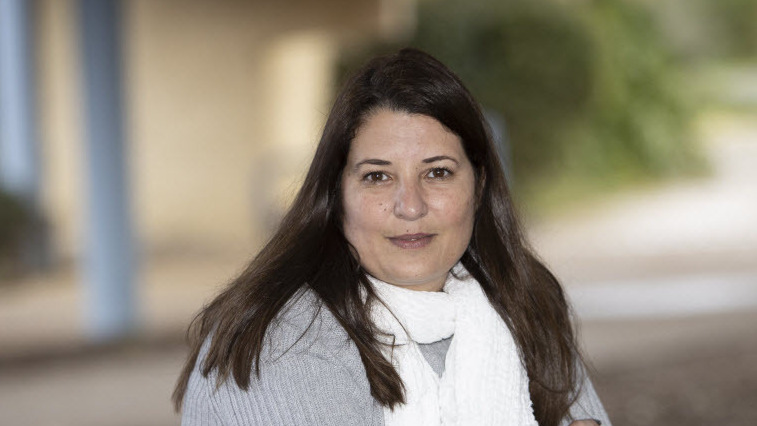 צילום: גיל נחושתן