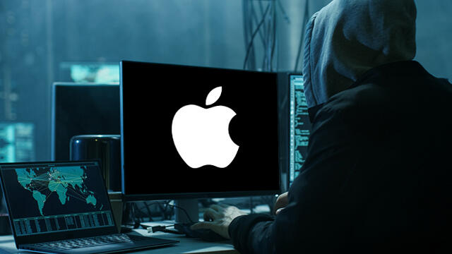 עיבוד תמונה. צילום: shutterstock